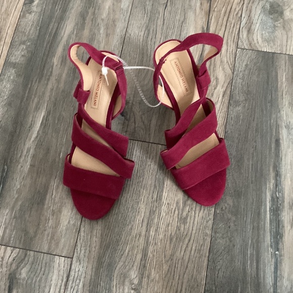 Pumps - Picture 2 of 4